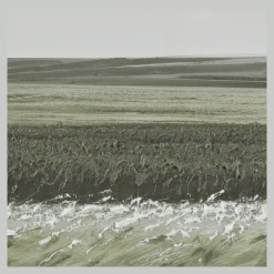 Discount Bouclair Green Landscape Framed Art