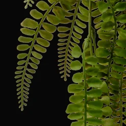 Best Bouclair Hanging Fern