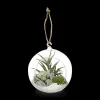 Bouclair Hanging Terrarium with Artificial Succulent