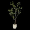 Discount Bouclair Japanese Pieris Tree