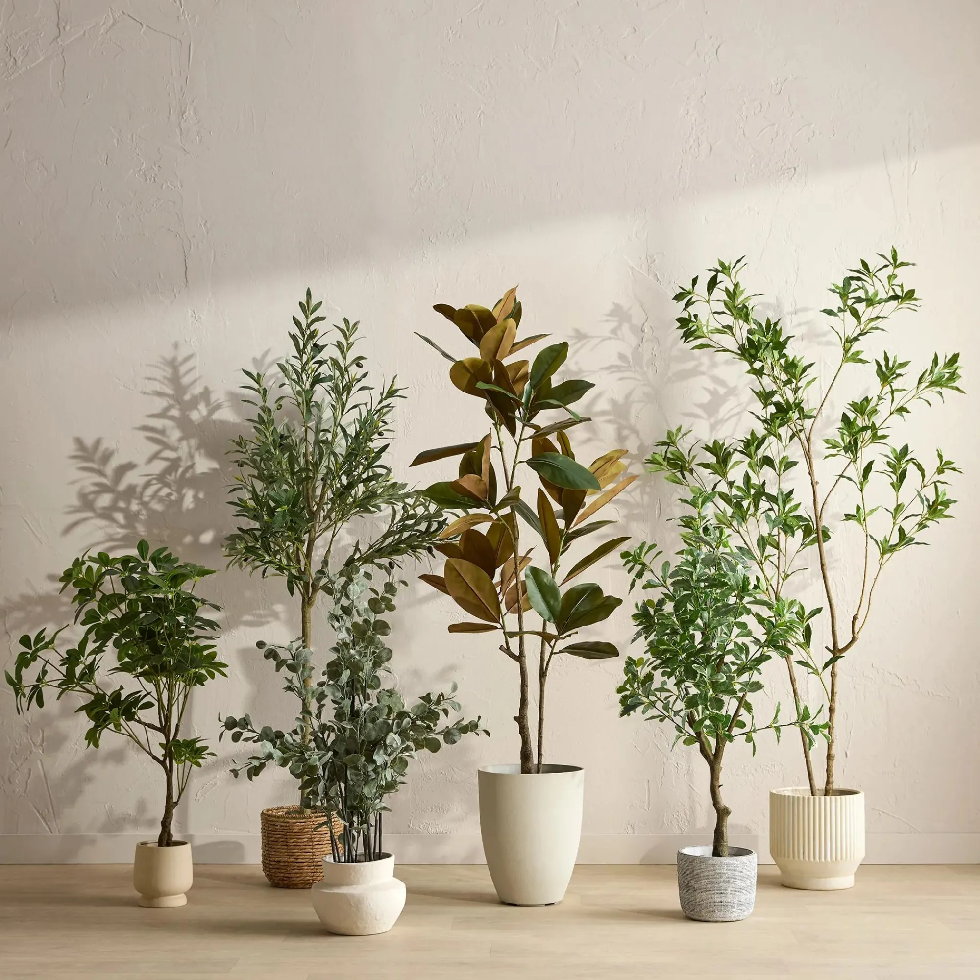 Discount Bouclair Japanese Pieris Tree