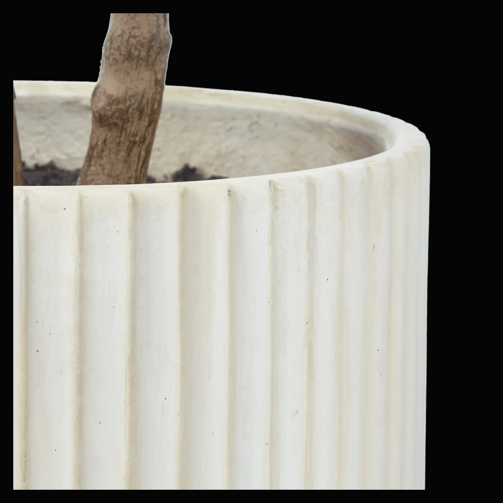 Discount Bouclair Japanese Pieris Tree