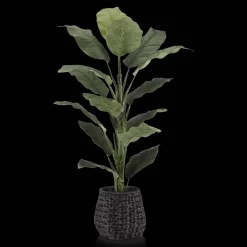 Online Bouclair Large Ficus in Black Rattan Pot