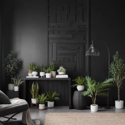 Best Bouclair Large Artificial Aralia Tree