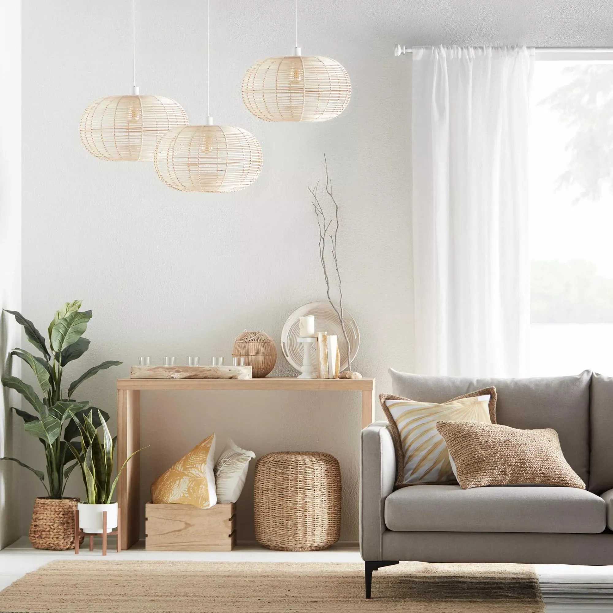 Bouclair Large Ficus in Rattan Pot