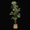 New Bouclair Large Fiddle-Leaf Fig Potted Floor Plant