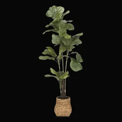 New Bouclair Large Fiddle-Leaf Fig Potted Floor Plant