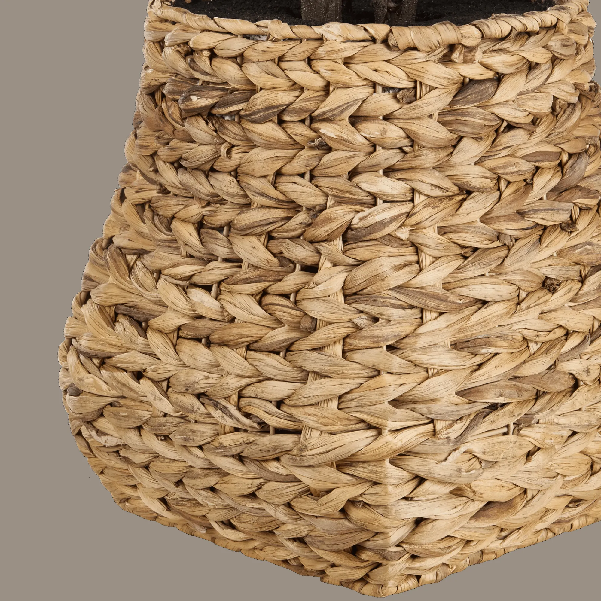 New Bouclair Large Fiddle-Leaf Fig Potted Floor Plant