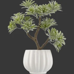 Outlet Bouclair Lotus in Ceramic Pot