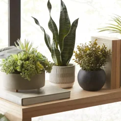 Hot Bouclair Mixed Artificial Agave in Cement Planter