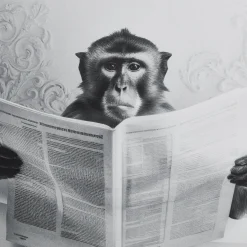 Online Bouclair Monkey in Bathtub Printed Framed Canvas