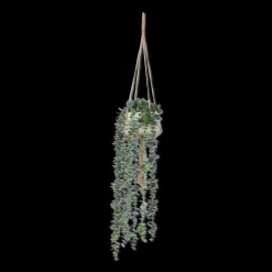 Sale Bouclair Natural Rope Hanging Eucalyptus