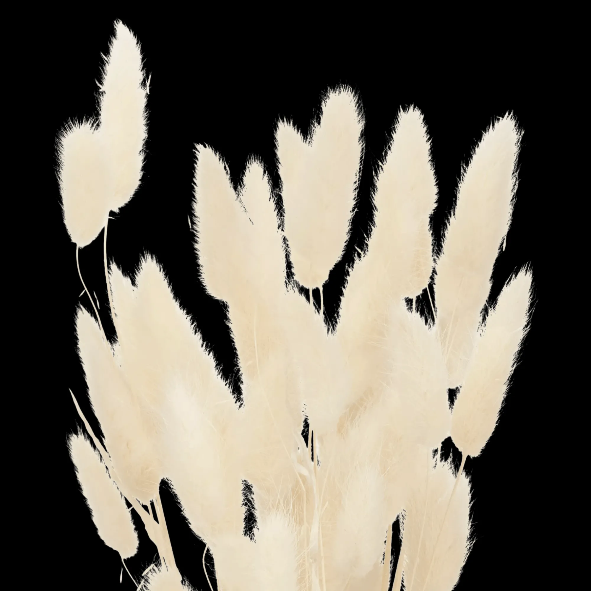 Best Bouclair Natural Wheat Bunch