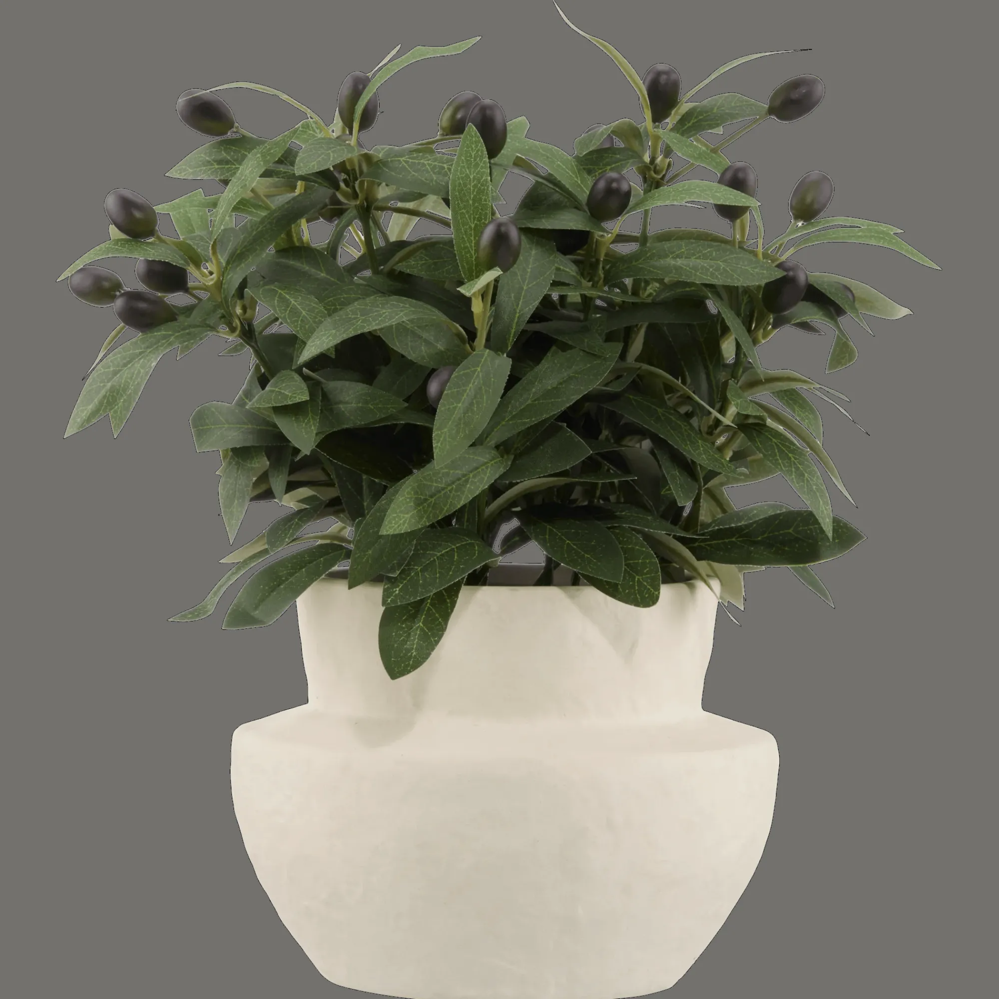Discount Bouclair Olive Plant in Ceramic Pot