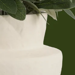 Discount Bouclair Olive Plant in Ceramic Pot