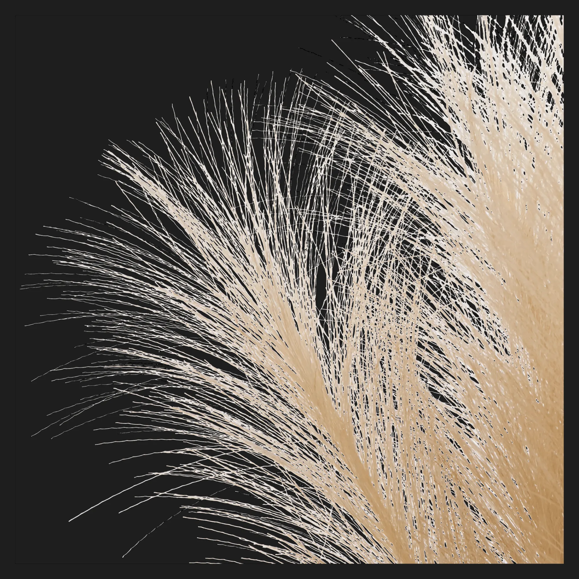 Discount Bouclair Pampas Bouquet in Vase