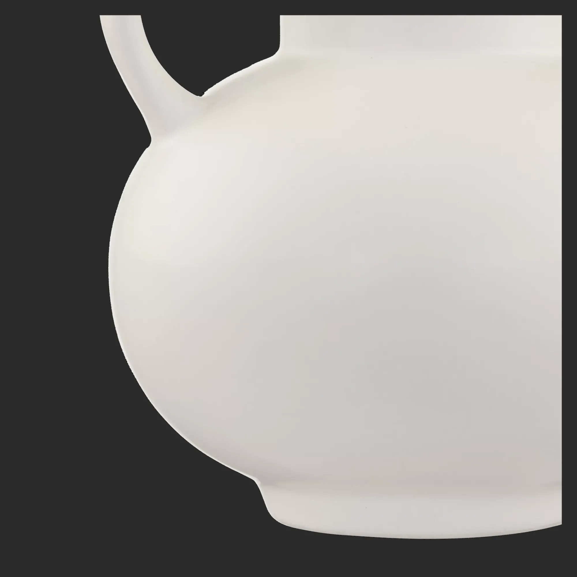 Discount Bouclair Pampas Bouquet in Vase