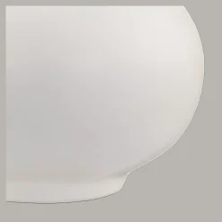 Discount Bouclair Pampas Bouquet in Vase