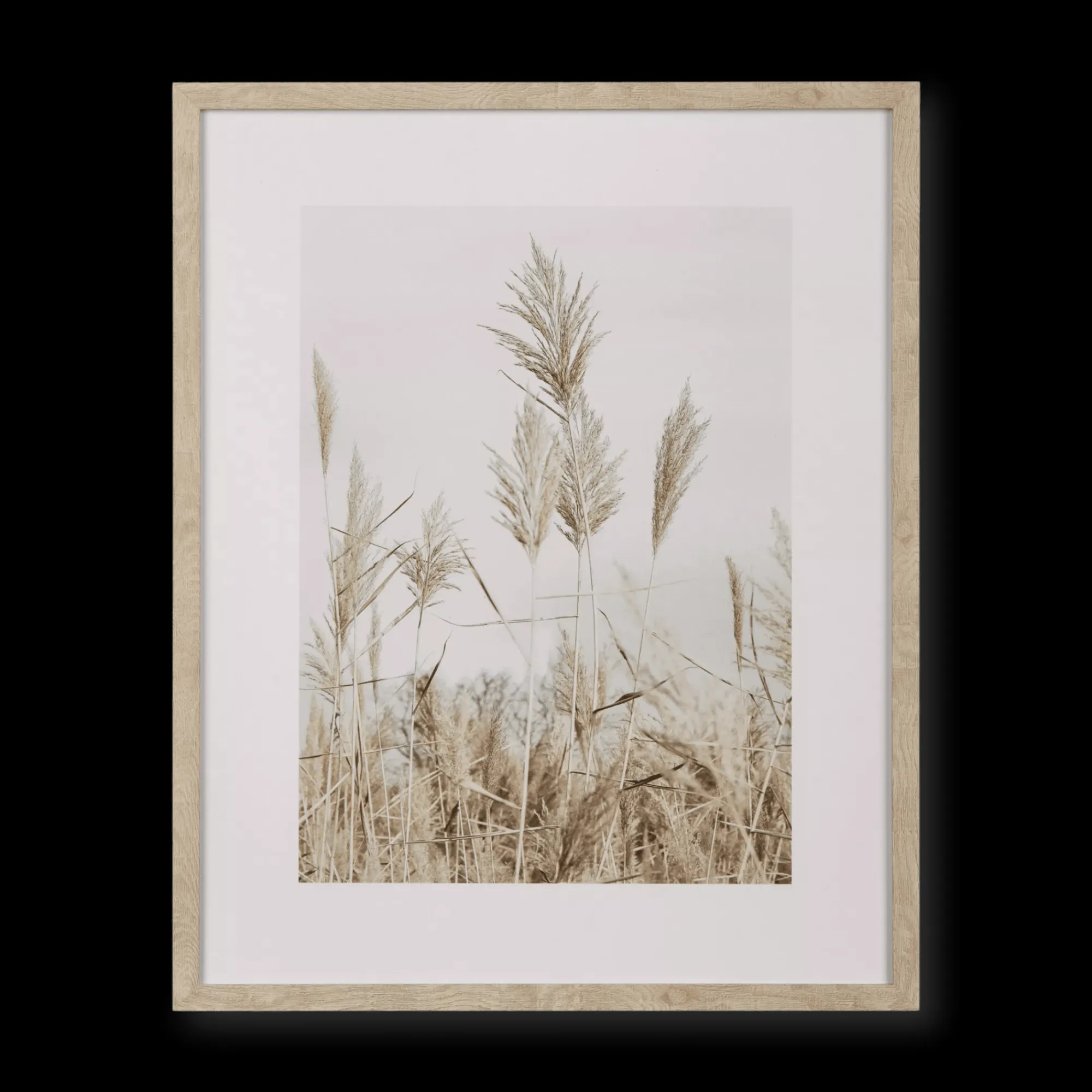 Sale Bouclair Pampas on Beach Framed Canvas