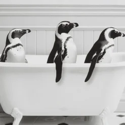Best Bouclair Penguins in Bathtub Printed Framed Canvas