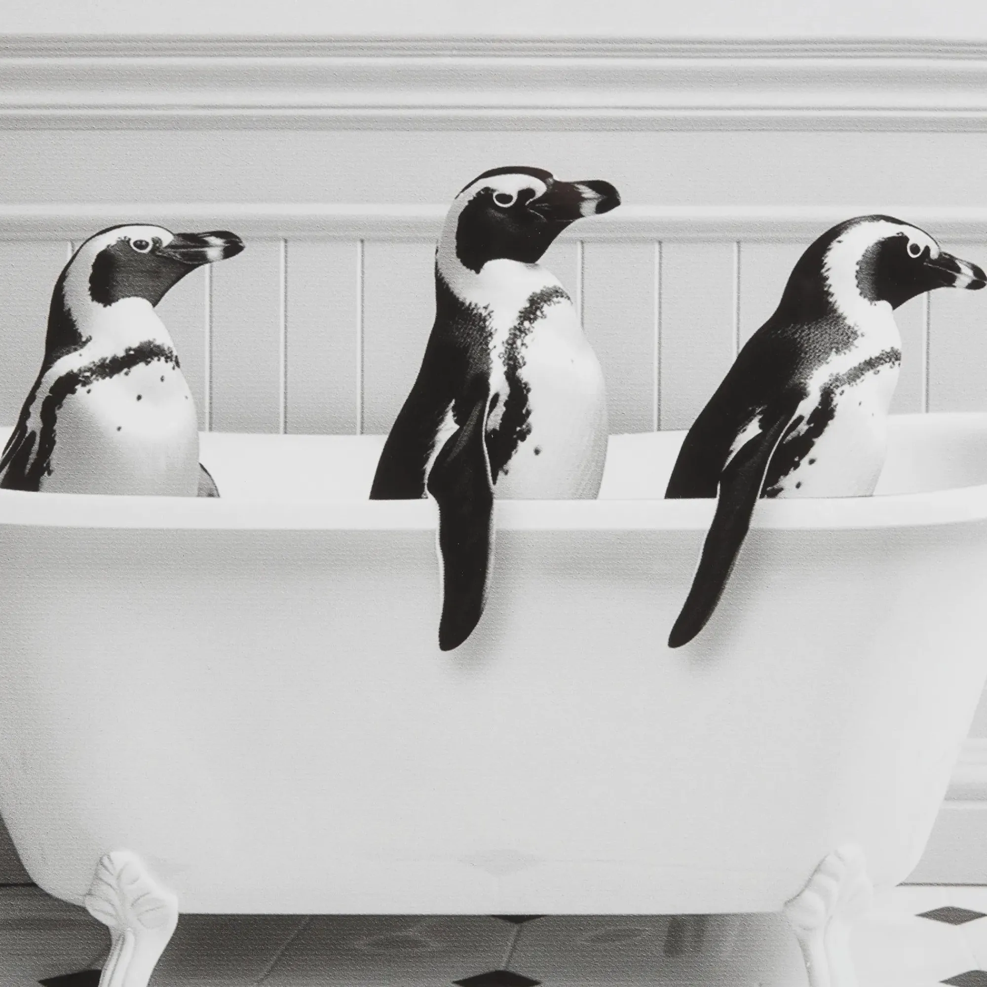 Best Bouclair Penguins in Bathtub Printed Framed Canvas