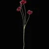 Hot Bouclair Plum Poppy Stem