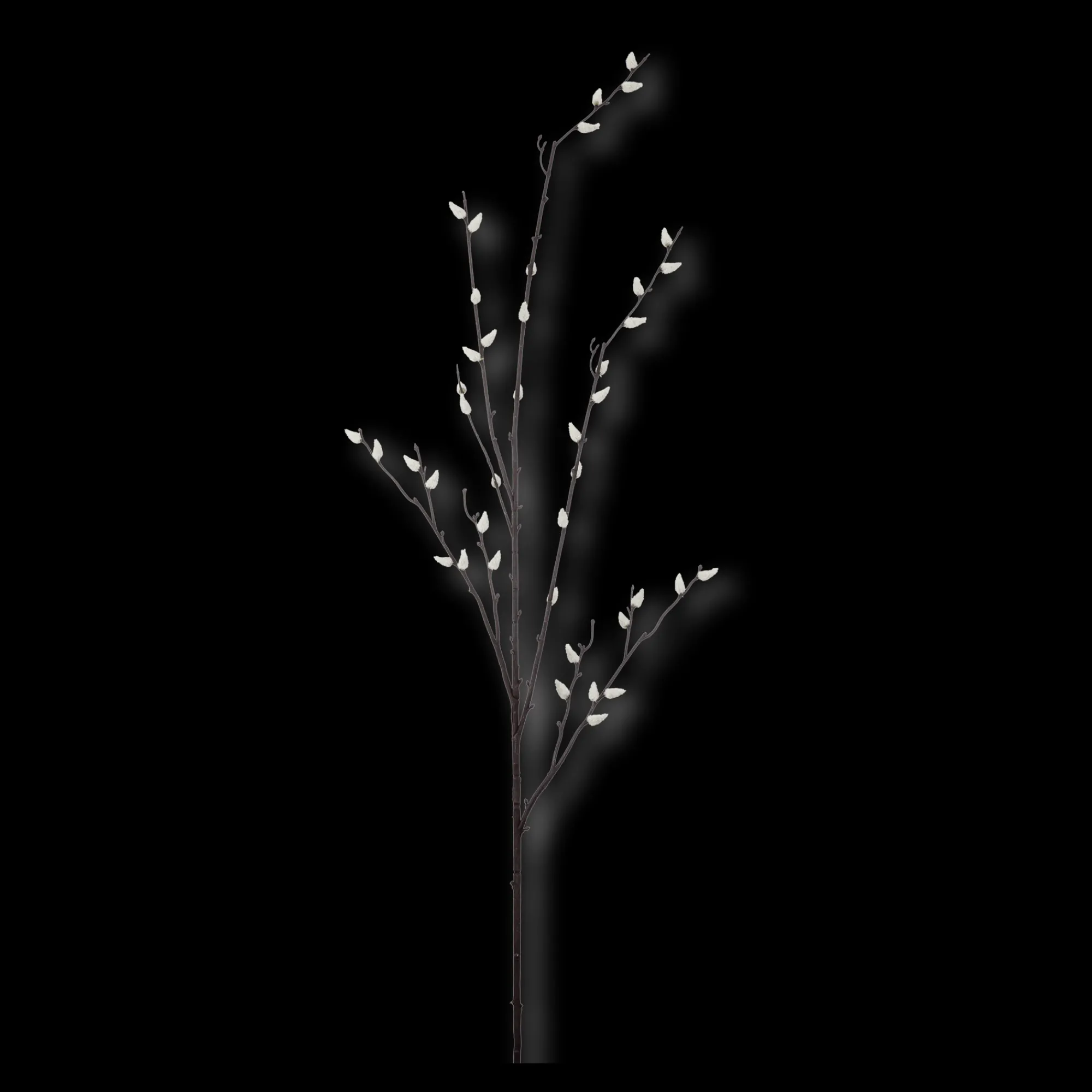 Online Bouclair Pussy Willow Stem
