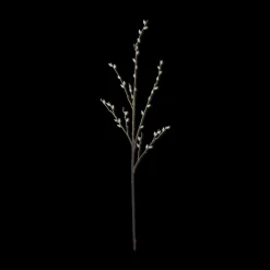 Clearance Bouclair Pussy Willow Stem