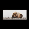 Sale Bouclair Resting Bear Framed Art