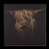 Hot Bouclair Scottish Highland Cattle Framed Printed Canvas