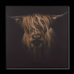 Hot Bouclair Scottish Highland Cattle Framed Printed Canvas