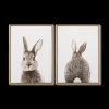 Clearance Bouclair Set of 2 Bunny Framed Canvases