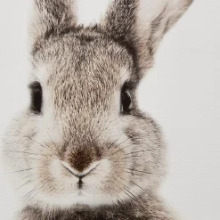 Clearance Bouclair Set of 2 Bunny Framed Canvases