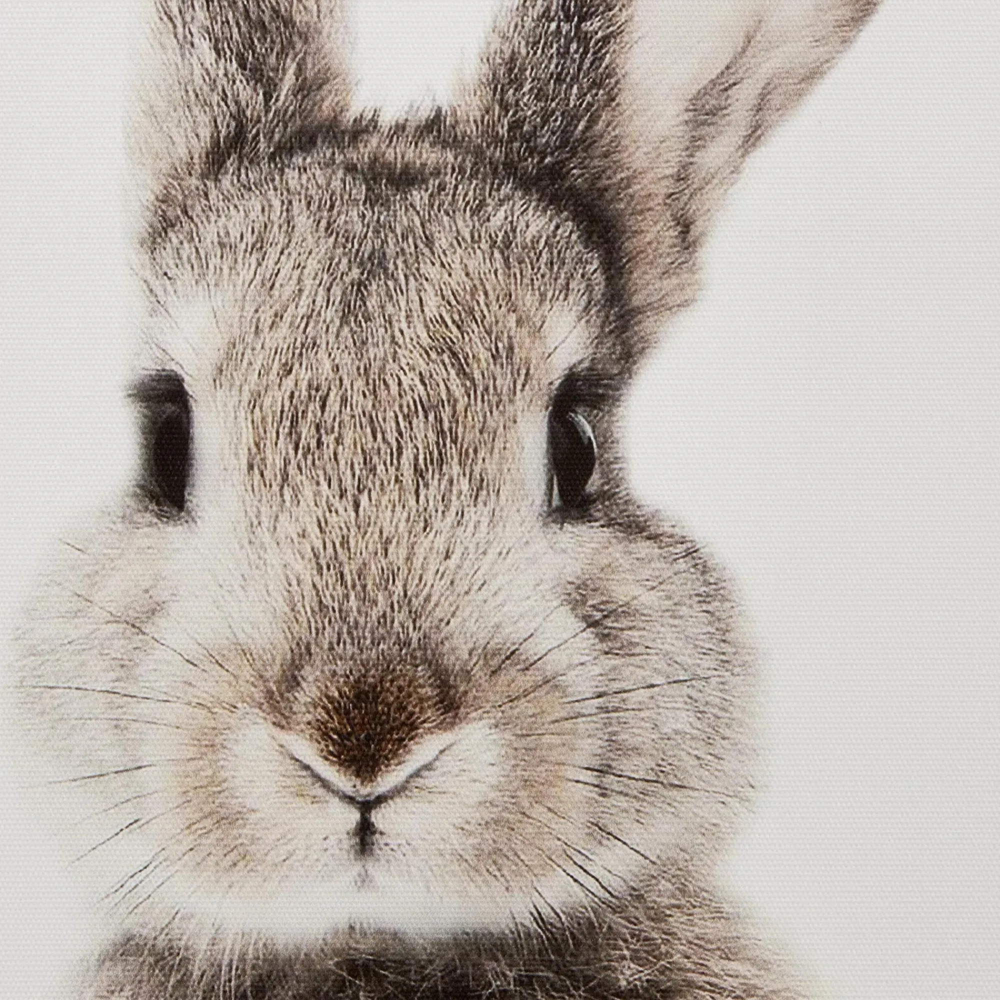 Clearance Bouclair Set of 2 Bunny Framed Canvases