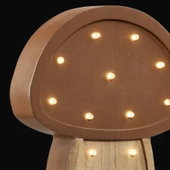 Hot Bouclair Set of 2 Decorations with Light