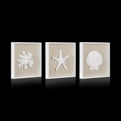 Discount Bouclair Set of 3 Seashells Framed Art