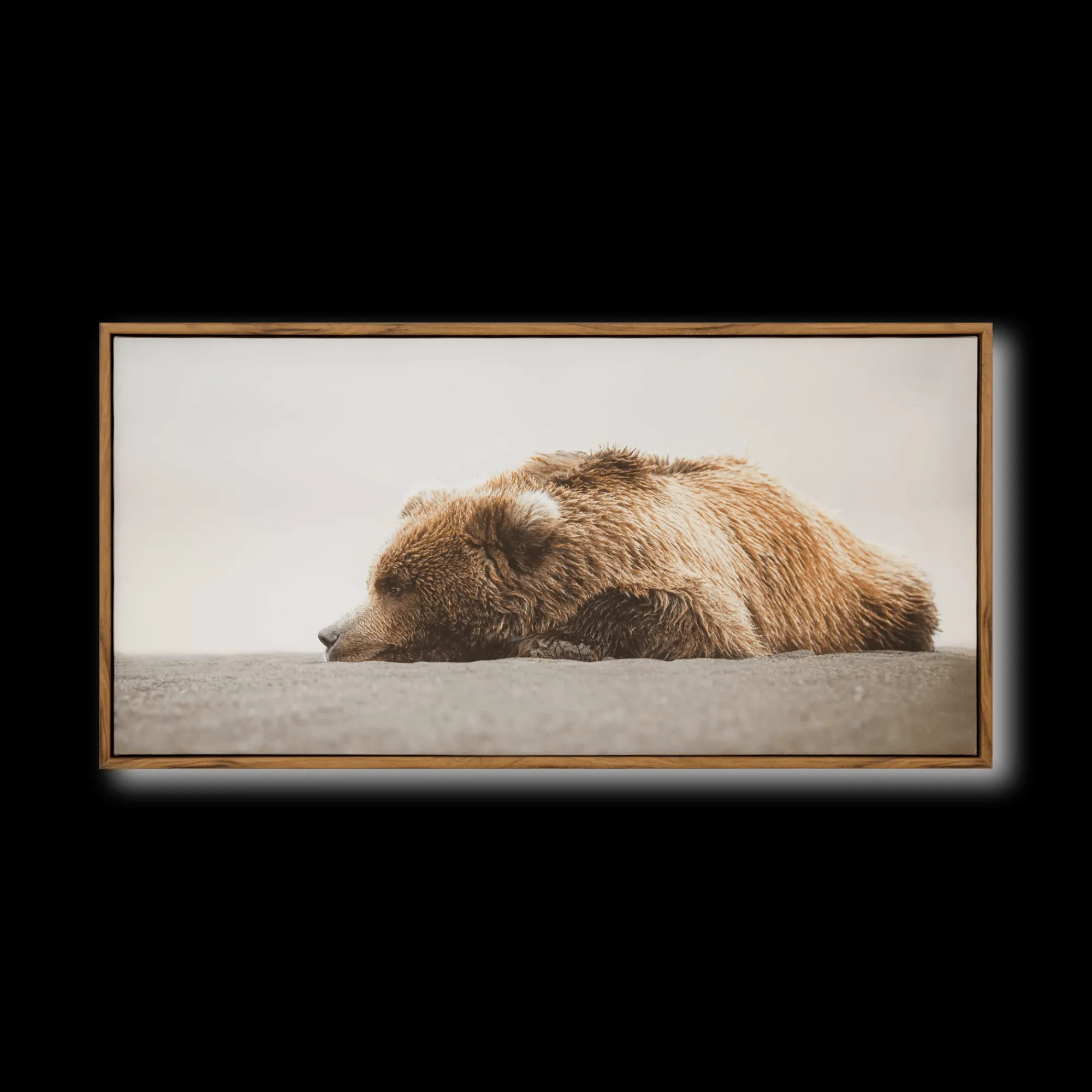 Discount Bouclair Sleeping Bear Printed Framed Canvas