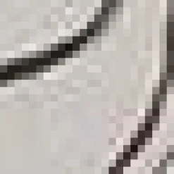 Outlet Bouclair Stems in Pot Framed Art