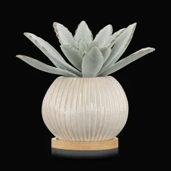 Clearance Bouclair Succulent in Ceramic Pot