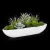 Online Bouclair Succulents in Cement Tray