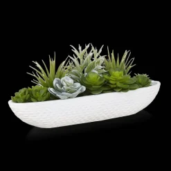 Online Bouclair Succulents in Cement Tray