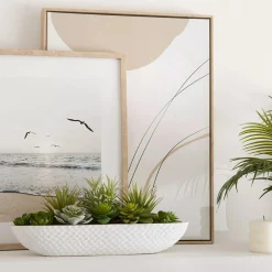 Online Bouclair Succulents in Cement Tray