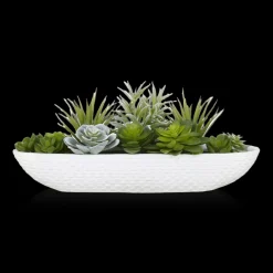 Online Bouclair Succulents in Cement Tray
