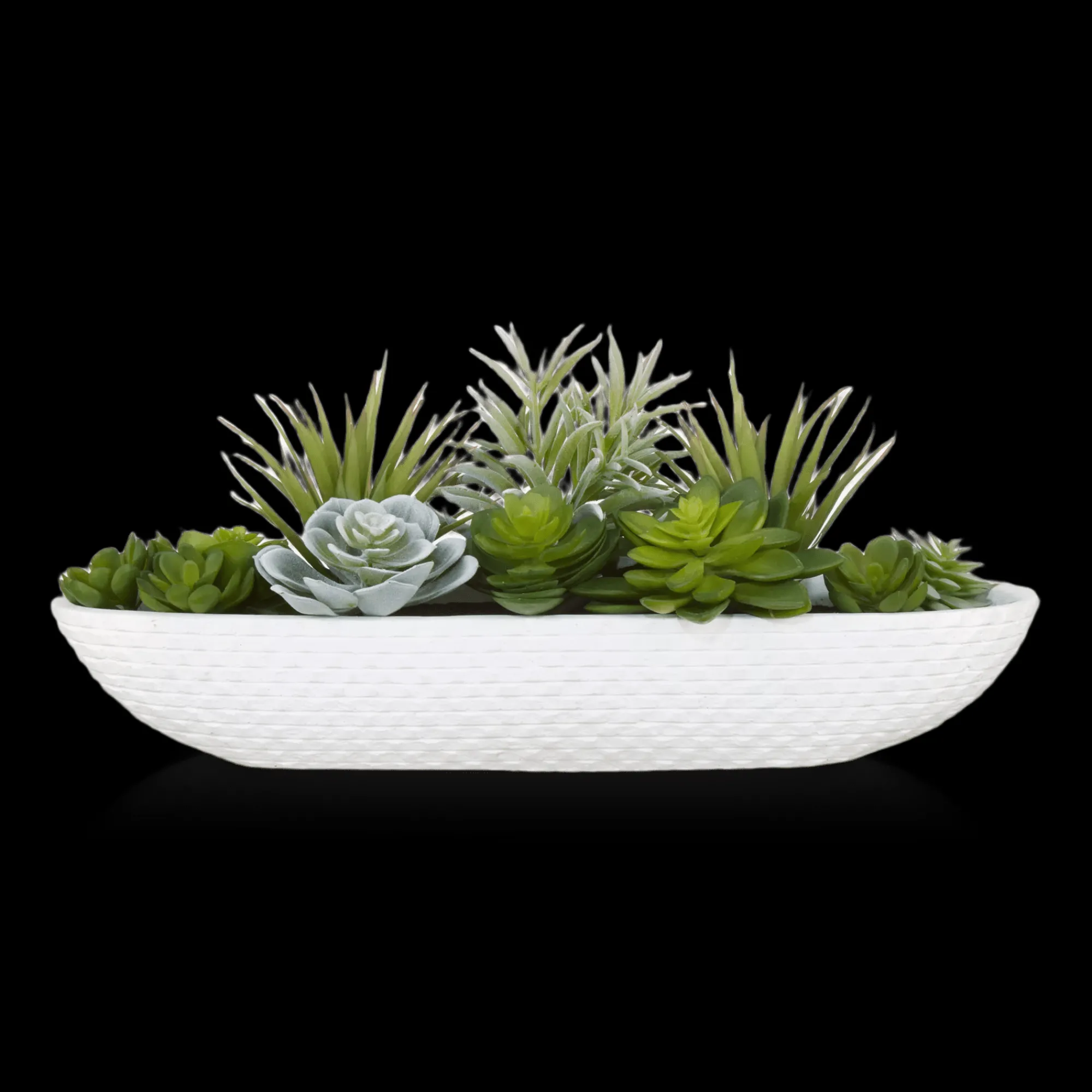 Online Bouclair Succulents in Cement Tray
