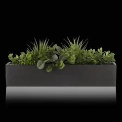 Hot Bouclair Succulents in Ceramic Pot