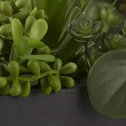 Hot Bouclair Succulents in Ceramic Pot