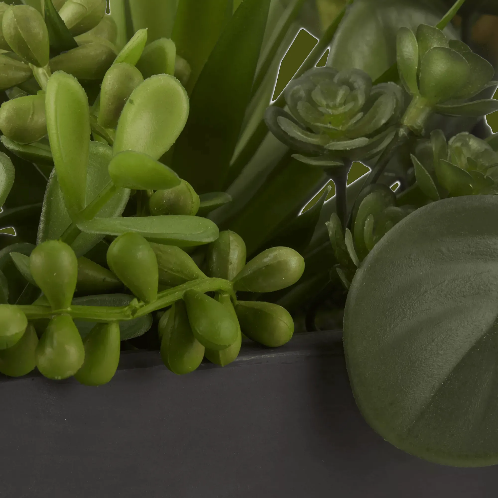 Hot Bouclair Succulents in Ceramic Pot