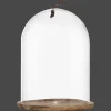 Online Bouclair Tall Glass Dome with Acadia Wood Base