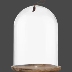 Online Bouclair Tall Glass Dome with Acadia Wood Base