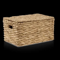 Best Bouclair Water Hyacinth Storage Trunk